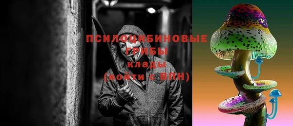 соль ск Абдулино