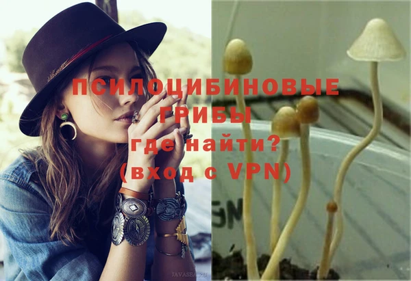 хмурый Алексеевка