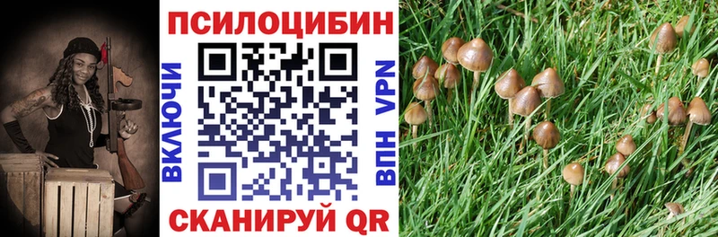 закладки  kraken ONION  Галлюциногенные грибы ЛСД  Рязань 